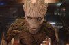 Groot