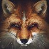 deman_fox