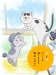 Постер аниме С котом да собакой каждый день в радость